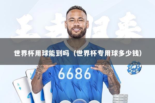 世界杯用球能到吗（世界杯专用球多少钱）