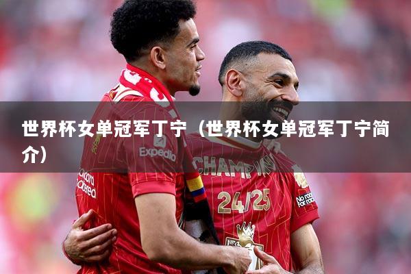 世界杯女单冠军丁宁（世界杯女单冠军丁宁简介）