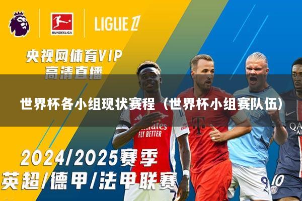 世界杯各小组现状赛程（世界杯小组赛队伍）