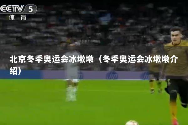 北京冬季奥运会冰墩墩（冬季奥运会冰墩墩介绍）