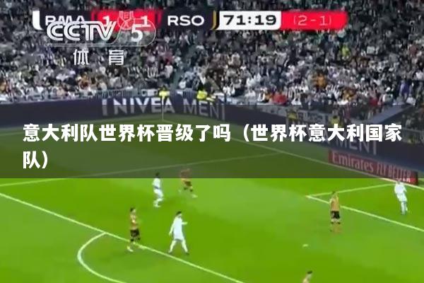 意大利队世界杯晋级了吗（世界杯意大利国家队）