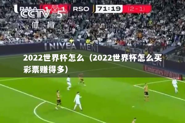 2022世界杯怎么（2022世界杯怎么买彩票赚得多）