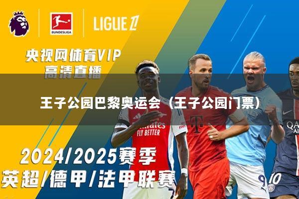 王子公园巴黎奥运会（王子公园门票）