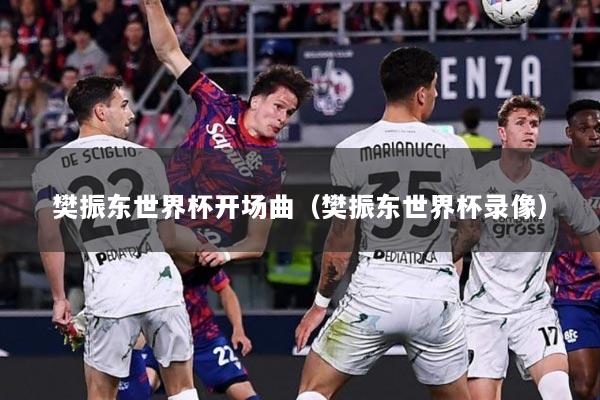 樊振东世界杯开场曲（樊振东世界杯录像）